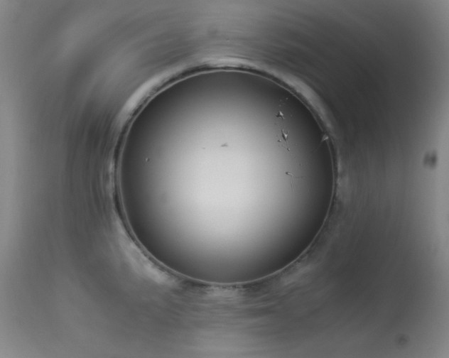 X0000114011191200910021334