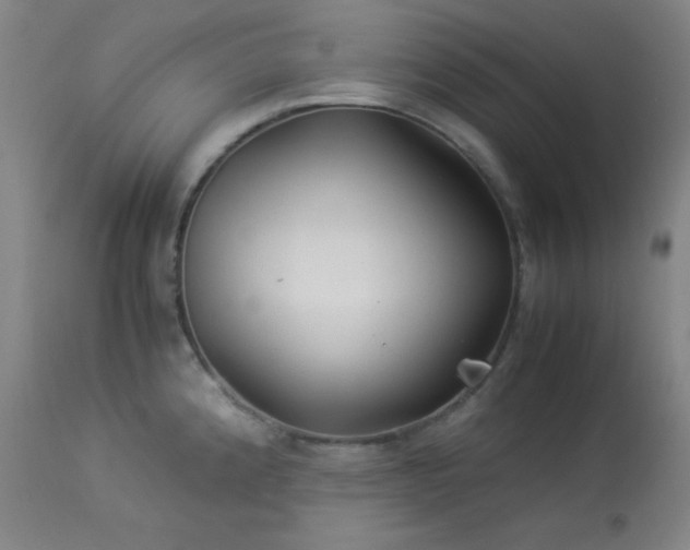 X0000114011192200910021334