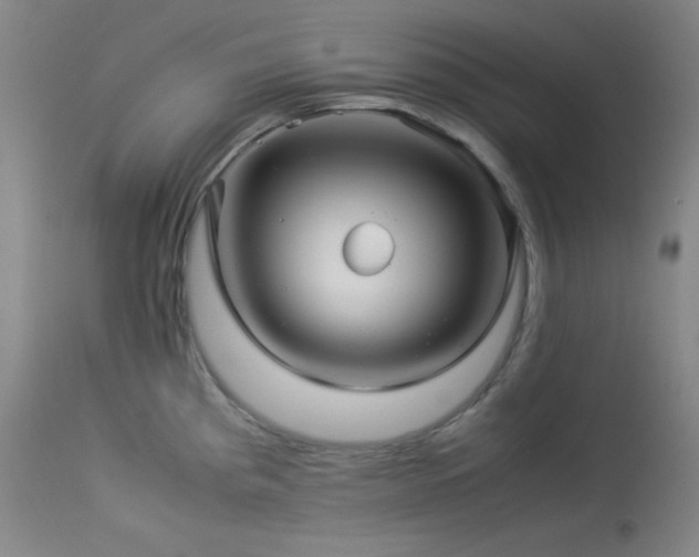 X0000114011193200910021334