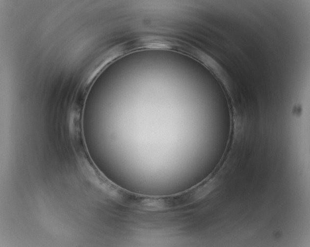 X0000114011194200910021334