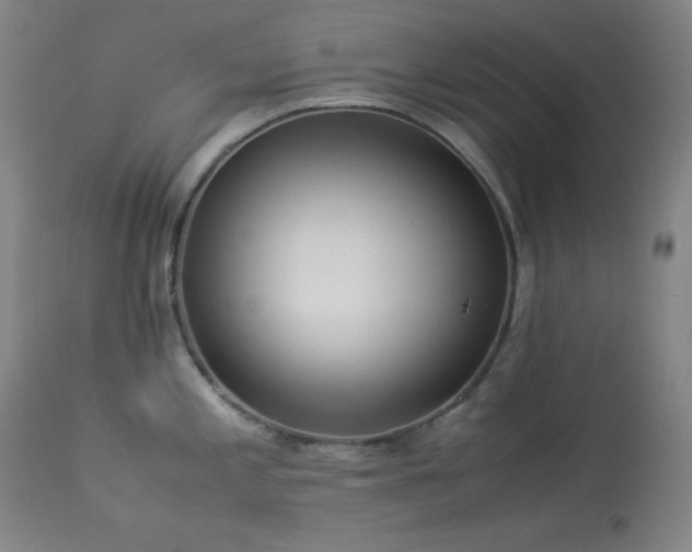 X0000114011197200910021334