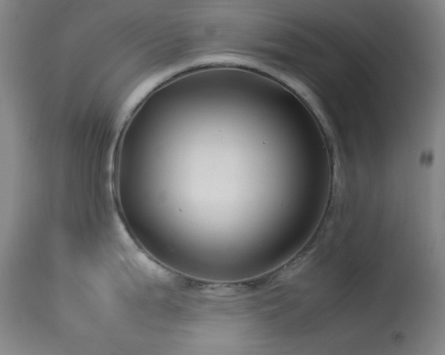 X0000114011199200910021334