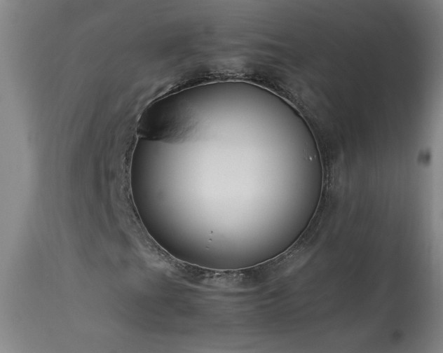 X0000114011201200910021333