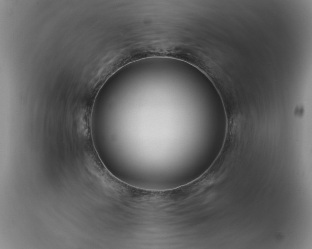 X0000114011202200910021333