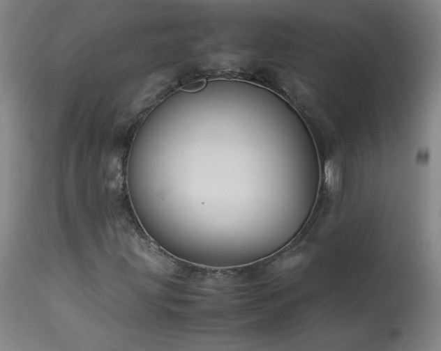 X0000114011203200910021333