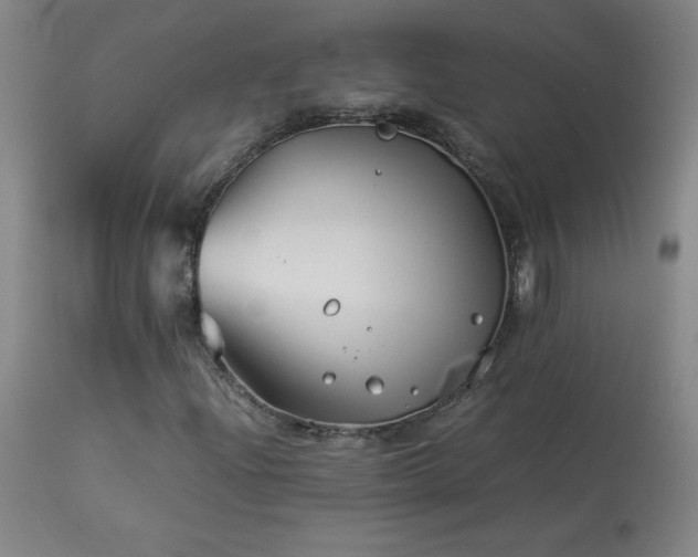 X0000114011204200910021333