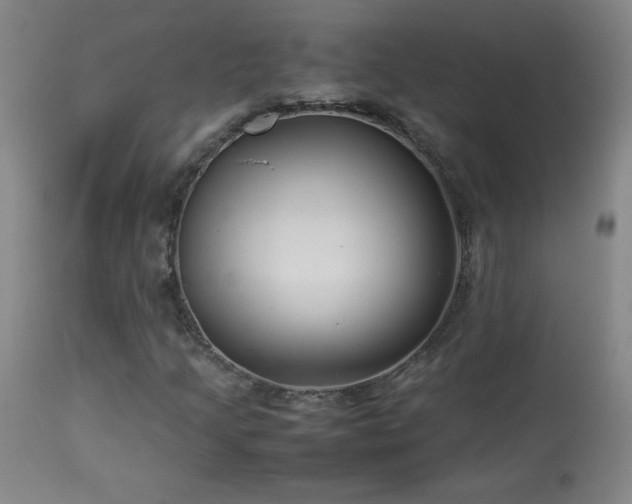 X0000114011205200910021333