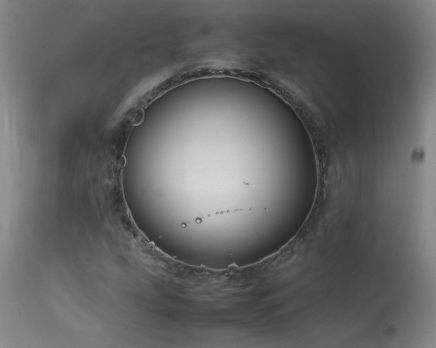 X0000114011207200910021333