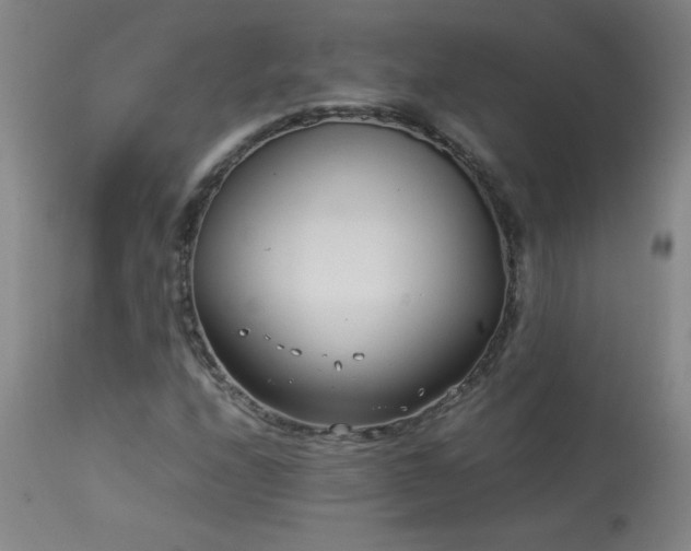 X0000114011208200910021333