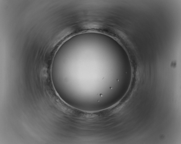 X0000114011209200910021333