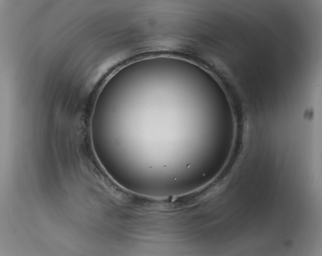 X0000114011210200910021333