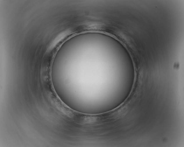 X0000114011211200910021333