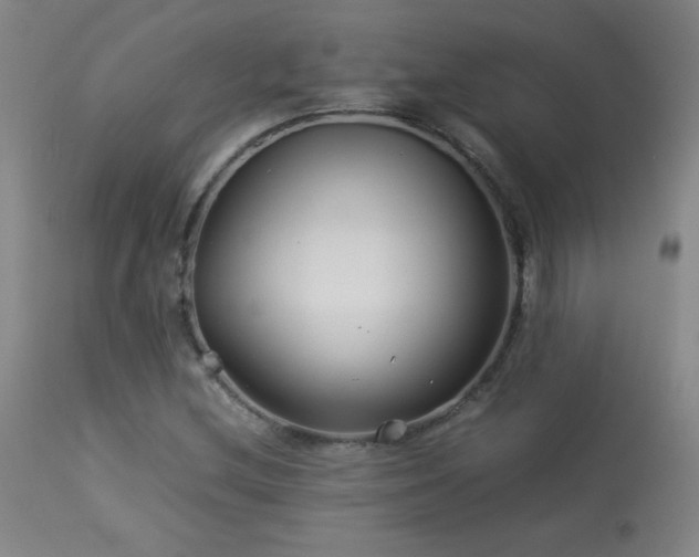 X0000114011212200910021333