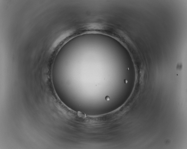 X0000114011213200910021333