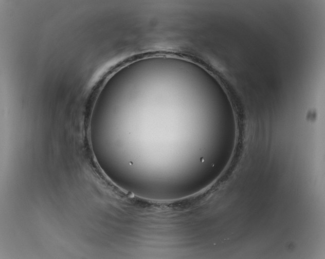 X0000114011214200910021333
