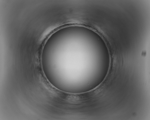 X0000114011215200910021333