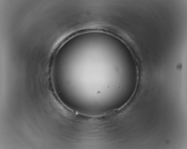 X0000114011216200910021333