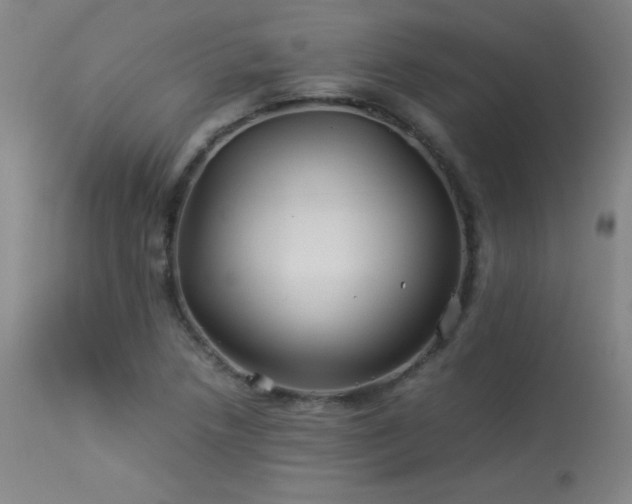X0000114011218200910021333
