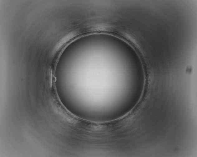 X0000114011219200910021333