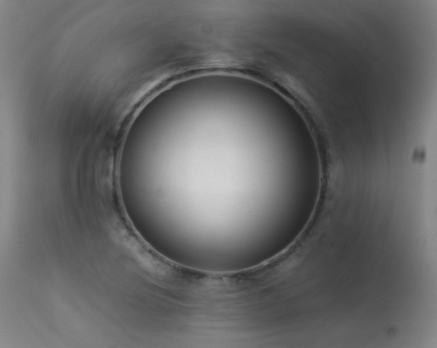 X0000114011220200910021333