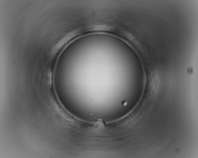 X0000114011221200910021333