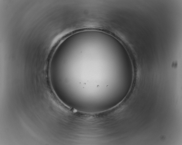 X0000114011222200910021333