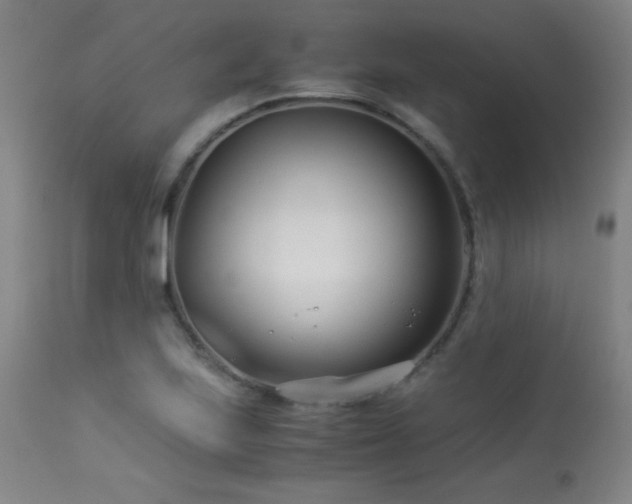 X0000114011223200910021333
