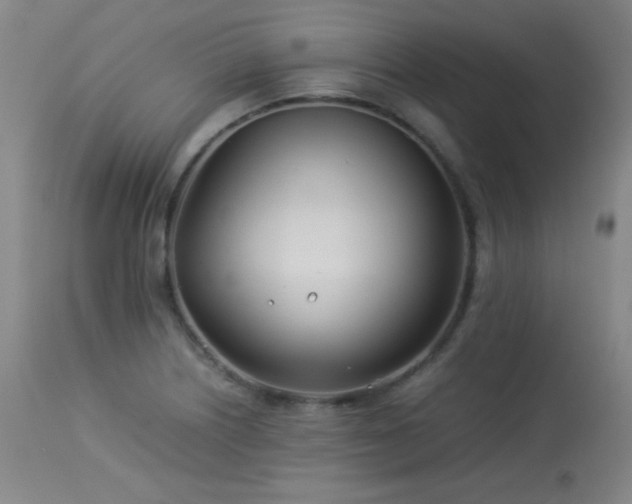 X0000114011226200910021333
