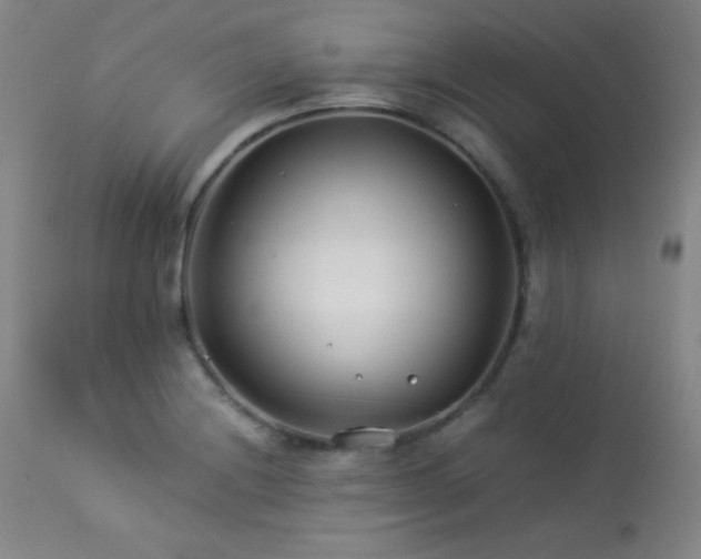 X0000114011228200910021334