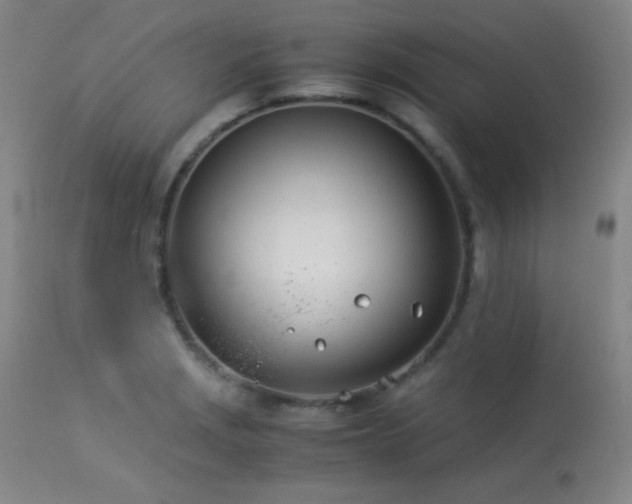 X0000114011229200910021334