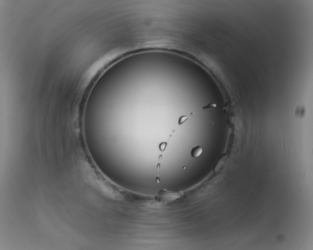 X0000114011230200910021334