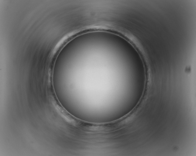 X0000114011232200910021334