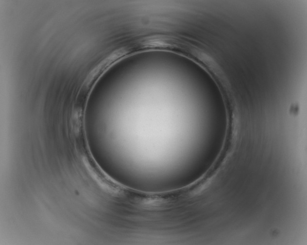 X0000114011233200910021334
