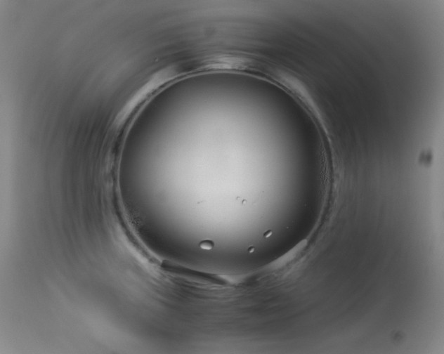 X0000114011235200910021334