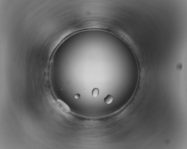 X0000114011236200910021334