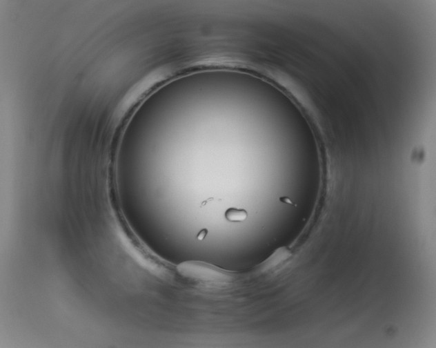 X0000114011237200910021334