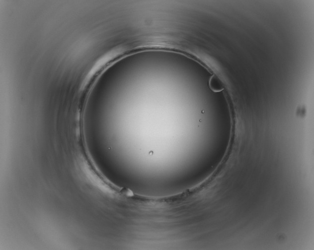 X0000114011238200910021334