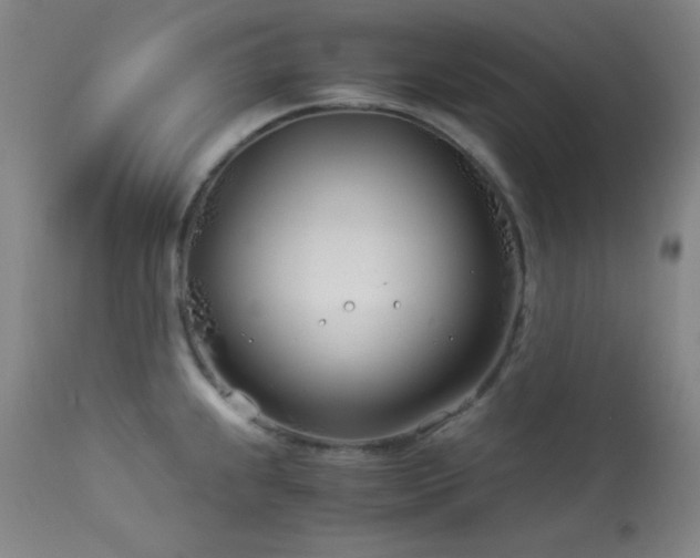 X0000114011239200910021334