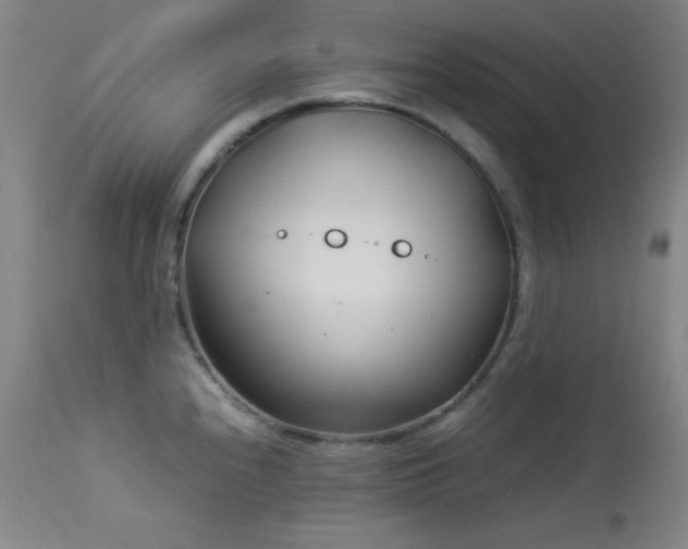 X0000114011240200910021334