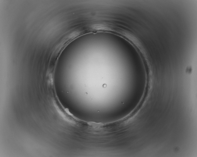 X0000114011241200910021334