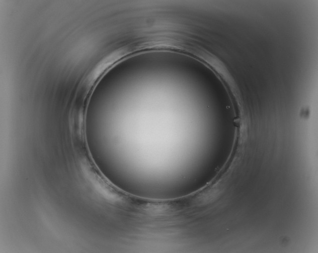 X0000114011242200910021334