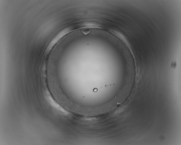 X0000114011243200910021334