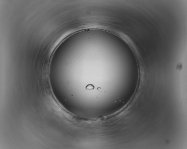 X0000114011244200910021334