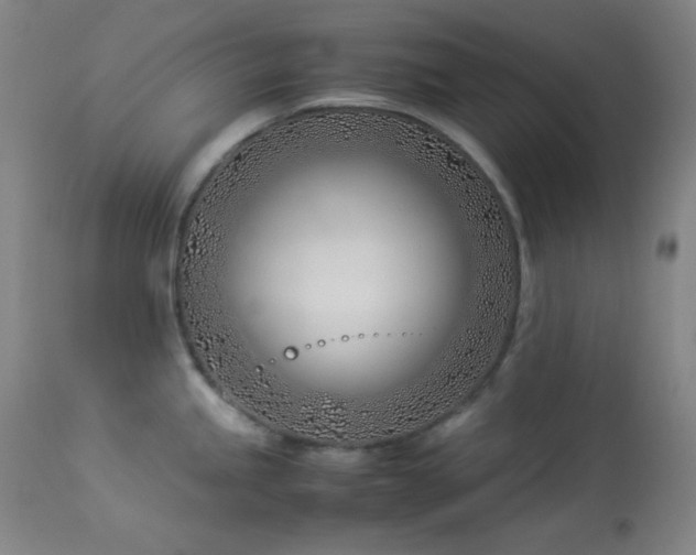 X0000114011245200910021334