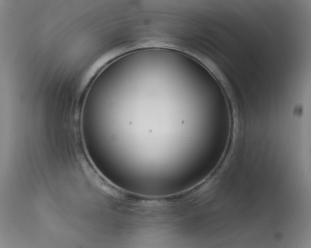 X0000114011246200910021334