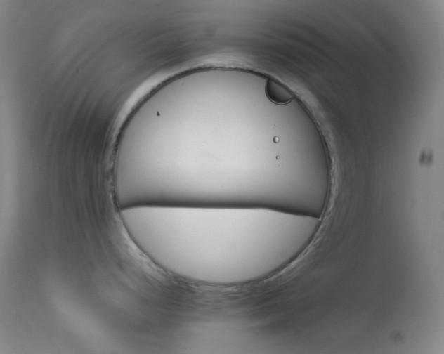 X0000114011248200910021334