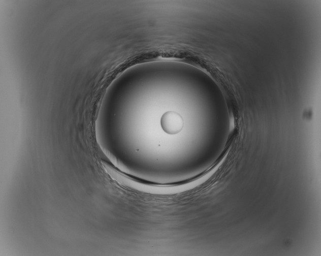 X0000114011249200910021333