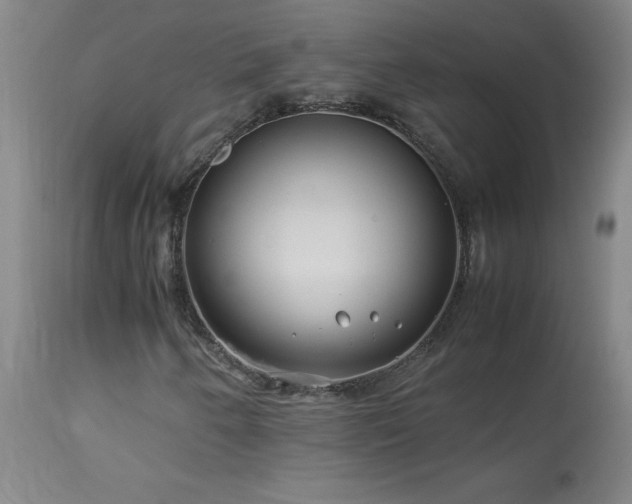 X0000114011250200910021333