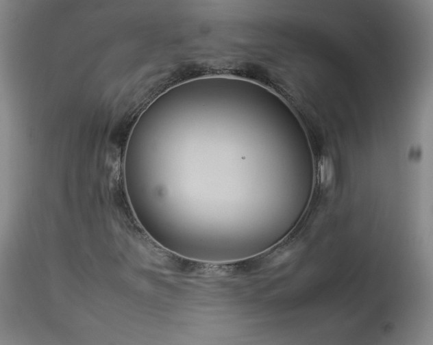 X0000114011251200910021333