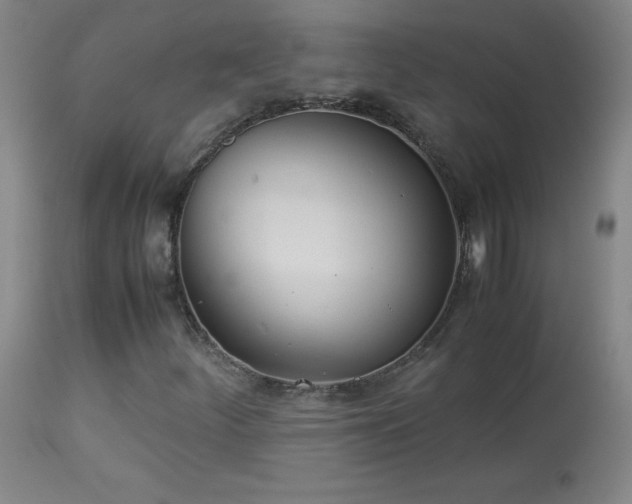 X0000114011252200910021333